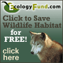 Save Wildlife Habitat