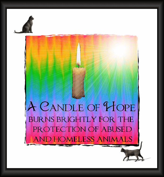 A Candle Of Hope