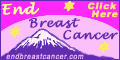 Climb To End Breast Cancer