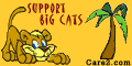 Race For The Big Cats