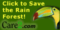 Race For The Rain Forest